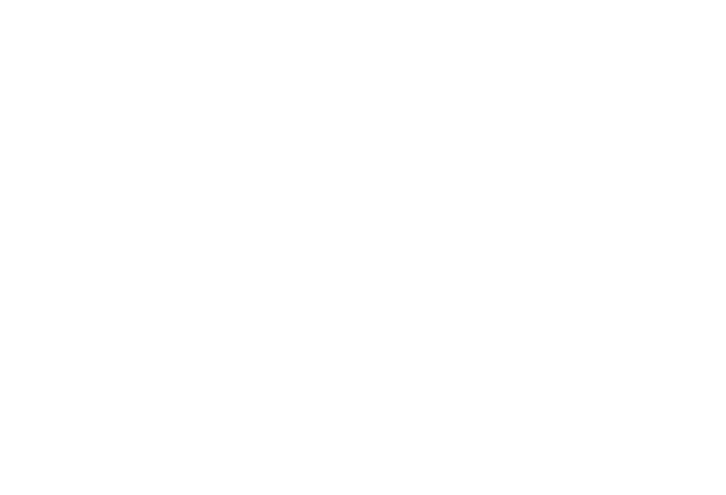 Dolphin Gaming
