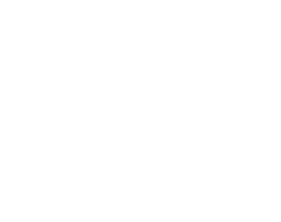 ShozerTV