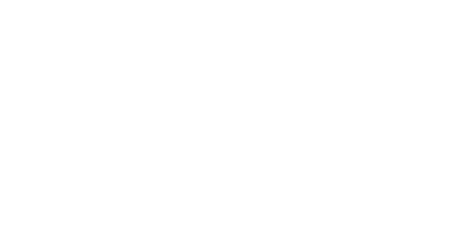 The Ontario Arts Council